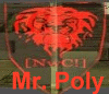 [NwC!]Mr.Poly Avatar