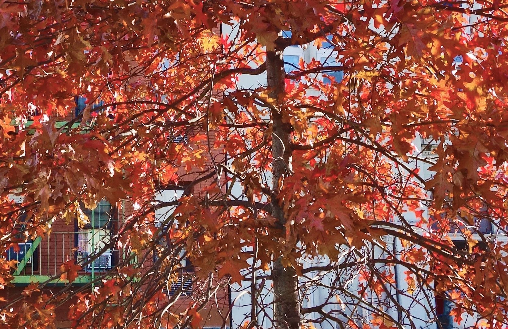 Winter is coming photo DSC03460a_zps713ee098.jpg