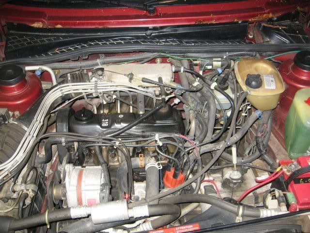 vw golf distributer manual