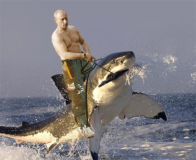 http://i627.photobucket.com/albums/tt352/bumblepufff/sottise-en-quarantaine/Putin-riding-shark-400x326.png