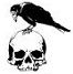  photo Crow on skull emo_zpssszo9uda.jpg