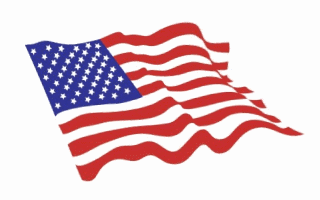 photo usa-american-flag-waving-animated-gif-171_zpsapynbs17.gif
