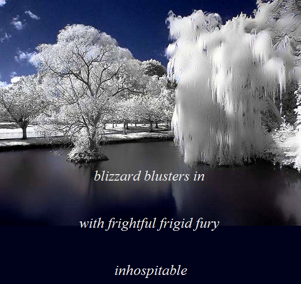  photo haiku blizzard bluters in_zpswcdbuqpa.png
