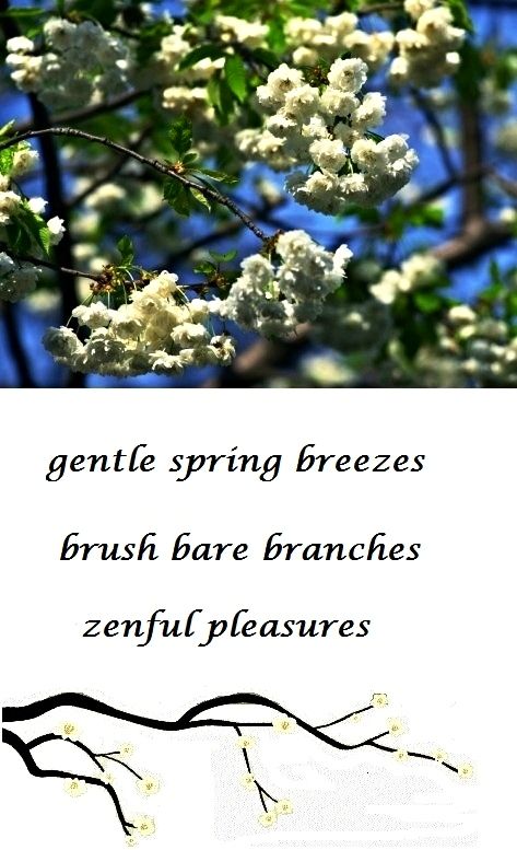 haiku (gentle spring breezes) photo spring20blossom_zps1j03zrmi.jpg
