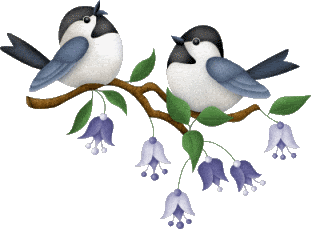 العصفوران الصغيران:قصة اطفال مصوره 2013 th_Bluebirdssinging.gif?t=1295470422