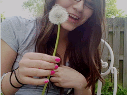 64156fdf1eee65236c45237b090fafdf.gif Wishing Flower. image by ellecupcake