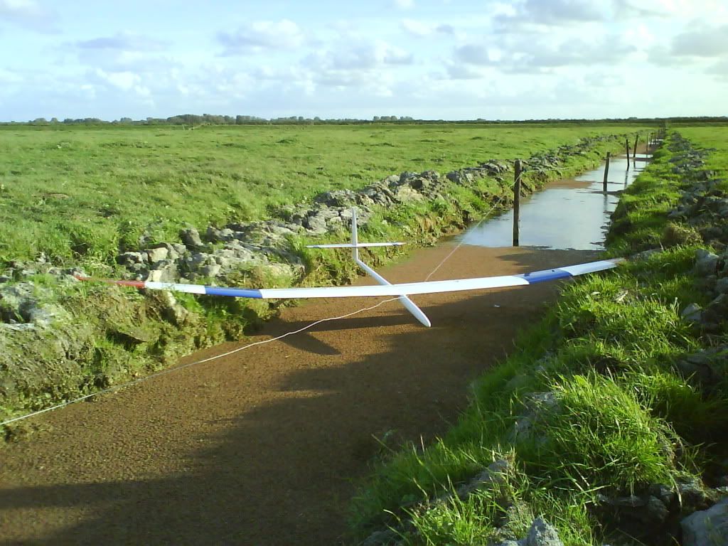 DSC01791.jpg