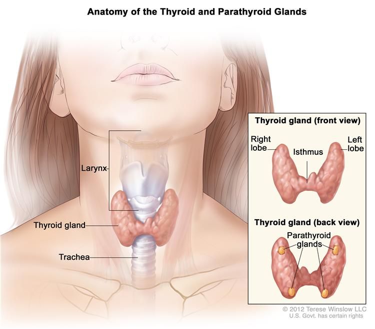 Nexavar OK'd for Thyroid Cancer